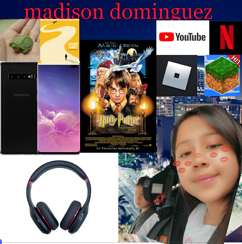 MADISON DOMINGUEZ, 32nd St LAUSD/USC Media Arts & Engineering Magnet - PERIOD 2
